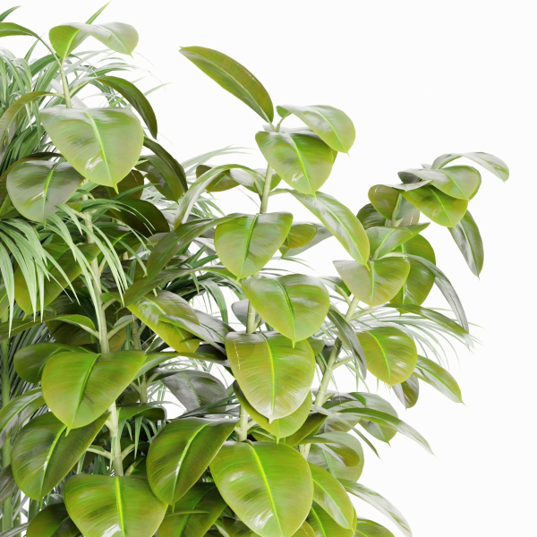 indoor plants collection vol 125-Blender