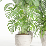 indoor plants collection vol 125-Blender