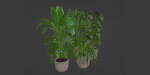indoor plants collection vol 125-Blender