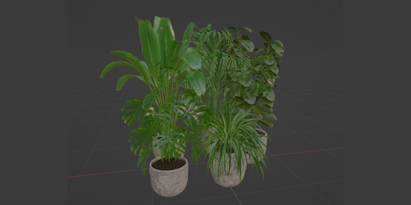 indoor plants collection vol 125-Blender