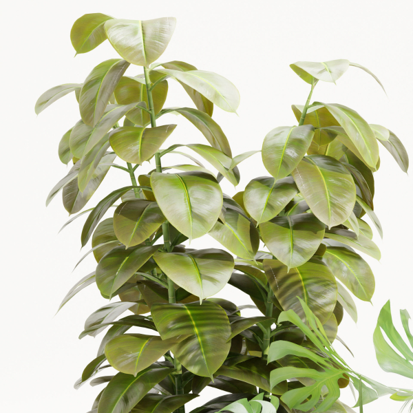 Indoor Plants Collection vol 157-Blender
