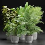 Indoor Plants Collection vol 157-Blender