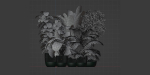Indoor Plants Collection vol 157-Blender