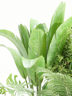 indoor-plants-collection-vol-157-3d-model-b9a9548f8e