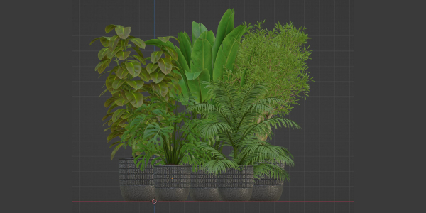 Indoor Plants Collection vol 157-Blender
