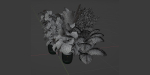 Indoor Plants Collection vol 157-Blender