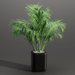 indoor plants collection vol 181-Blender