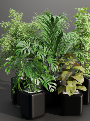 indoor plants collection vol 181-Blender
