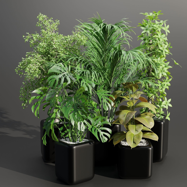 indoor plants collection vol 181-Blender