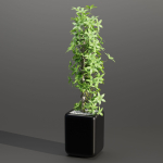 indoor plants collection vol 181-Blender