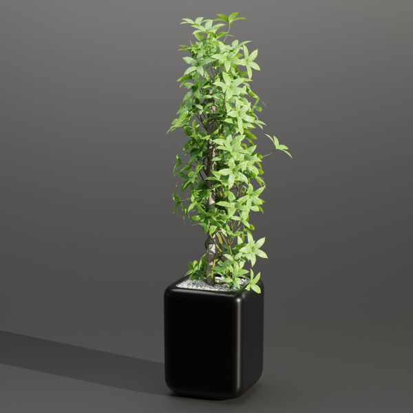 indoor plants collection vol 181-Blender