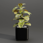 indoor plants collection vol 181-Blender