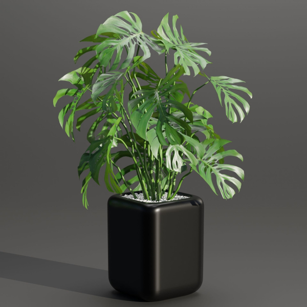 indoor plants collection vol 181-Blender
