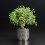 indoor plants collection vol 192-Blender