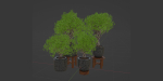 indoor plants collection vol 192-Blender