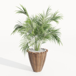 Indoor Plants Collection vol 202-Blender