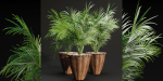 Indoor Plants Collection vol 202-Blender