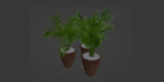 Indoor Plants Collection vol 202-Blender