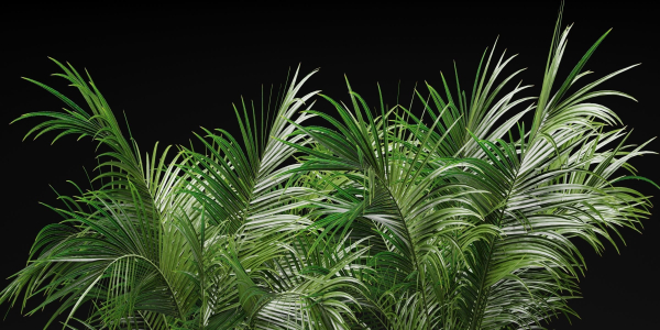 Indoor Plants Collection vol 202-Blender