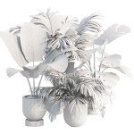 Indoor Plants Collection vol 221