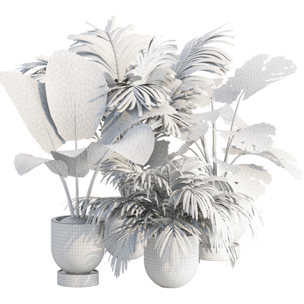 Indoor Plants Collection vol 221
