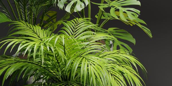 Indoor Plants Collection vol 221-Blender