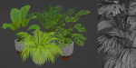 Indoor Plants Collection vol 221-Blender