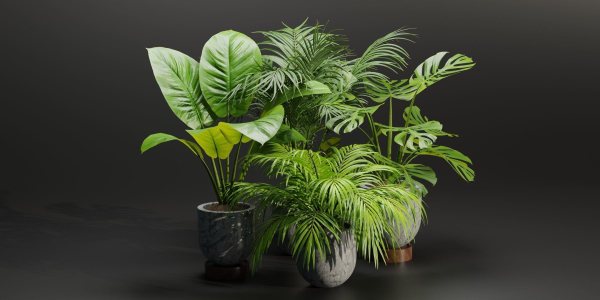 Indoor Plants Collection vol 221-Blender