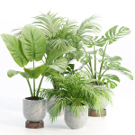 Indoor Plants Collection vol 221-Blender