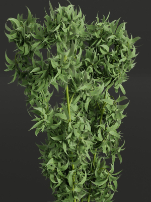 indoor-plants-collection-vol-26-blender-3d-model-0bf082431a