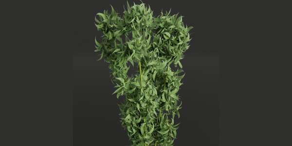 indoor plants collection vol 26-Blender
