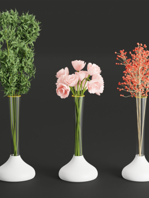 indoor plants collection vol 26-Blender