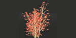 indoor plants collection vol 26-Blender