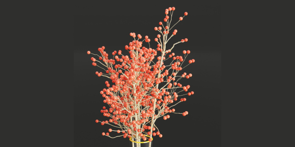indoor plants collection vol 26-Blender