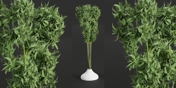 indoor plants collection vol 26-Blender