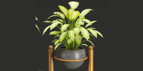 indoor plants collection vol 37-Blender