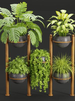 indoor plants collection vol 37-Blender