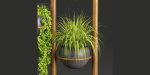 indoor plants collection vol 37-Blender