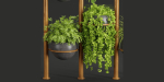 indoor plants collection vol 37-Blender