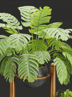 indoor-plants-collection-vol-37-blender-3d-model-e9145978ea