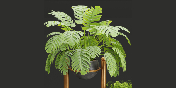indoor plants collection vol 37-Blender