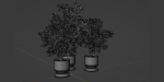 indoor plants collection vol 52-Blender