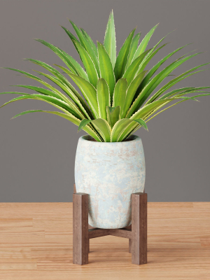 indoor-plants-collection-vol-53-3d-model-5f60de5d07