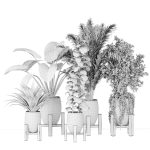 indoor plants collection vol 53