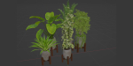 indoor plants collection vol 53- Blender