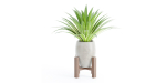 indoor plants collection vol 53- Blender