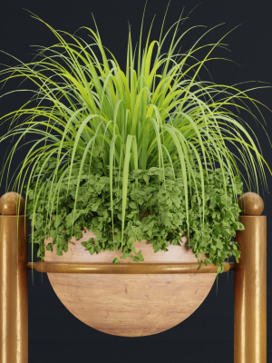 indoor-plants-new-collection-vol-35-blender-3d-model-00ae62f384