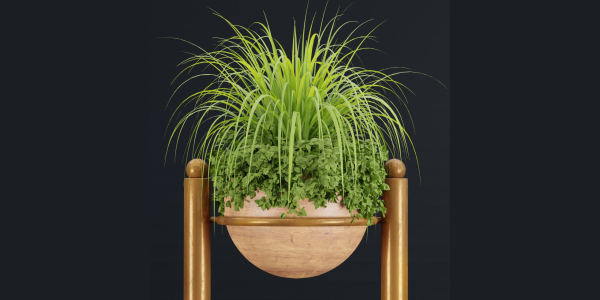 indoor plants new collection vol 35-Blender