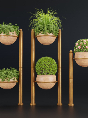 indoor plants new collection vol 35-Blender