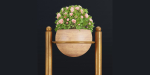 indoor plants new collection vol 35-Blender